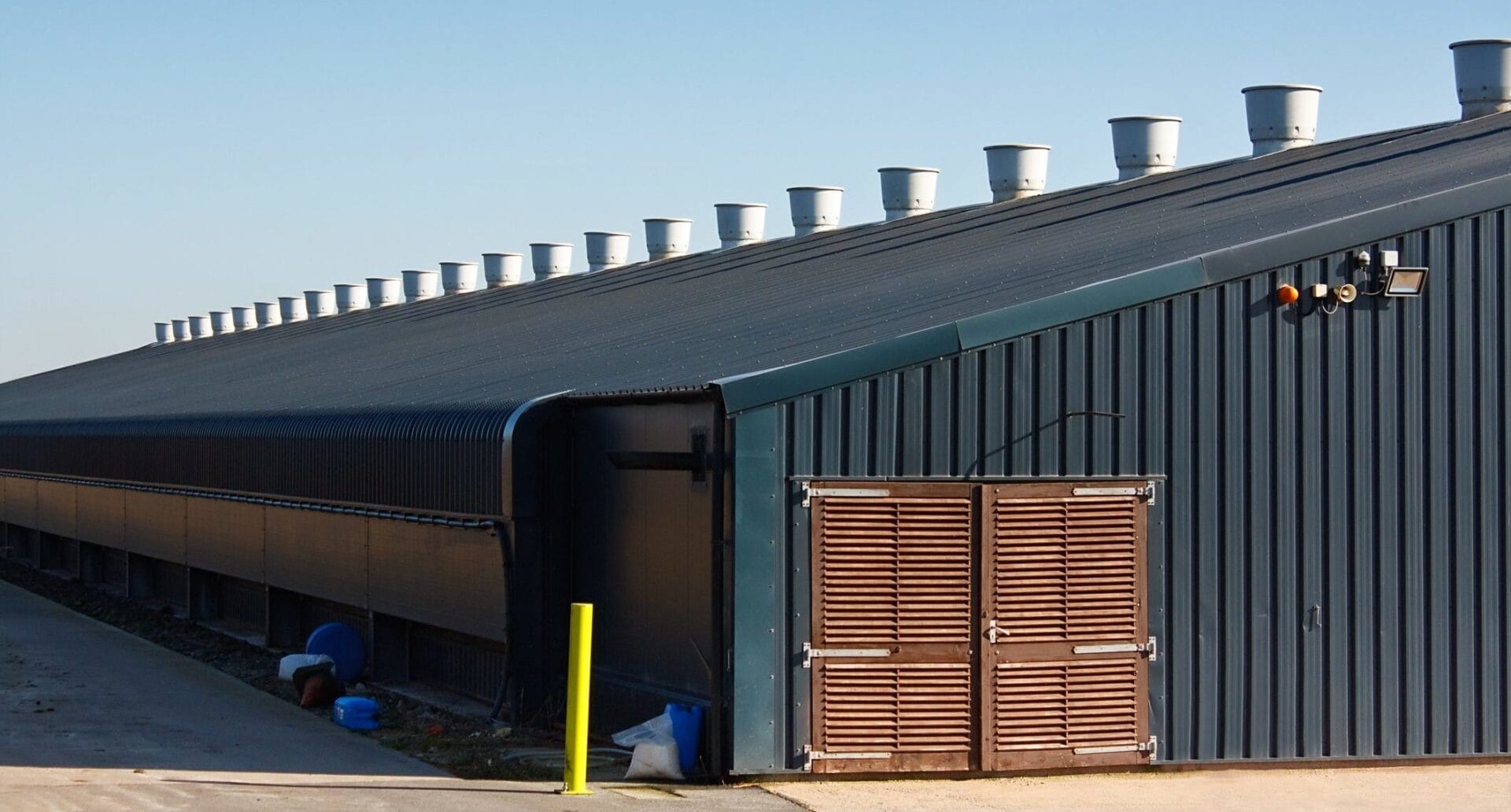 chicken shed a large agricultural building used for the commercial rearing of poultry for eggs or meat on a farm with proper ventilation systems