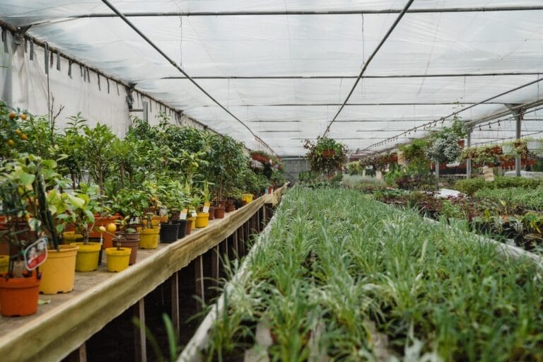 Soilless substrates for Horticulture Farming