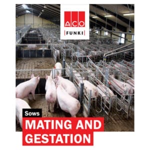 Sows - Mating and Gestation