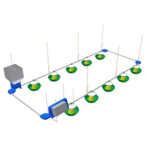 Low Level Feeding System for Turkeys