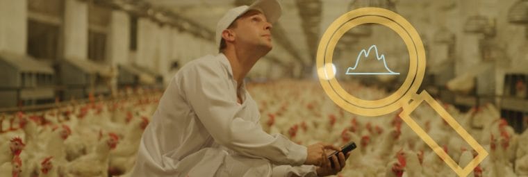 best lighting systems for livestock welfare how lighting affects poultry and pig productivity