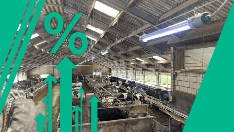 RUDAX LED Lighting Systems for Cattle